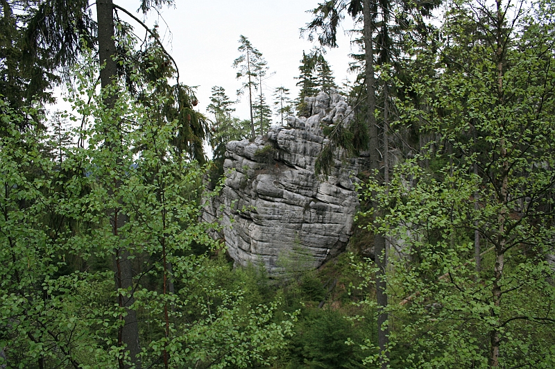 Original image